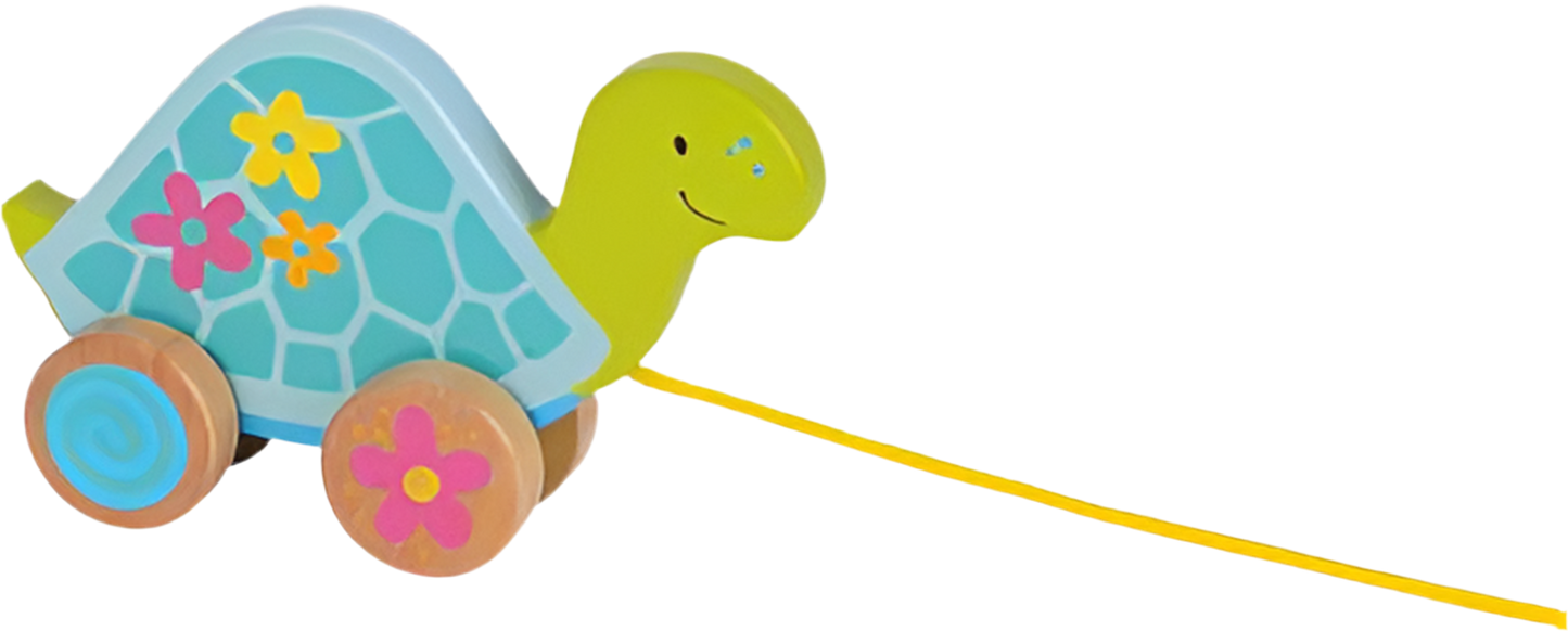 Pull-along animal - Turtle