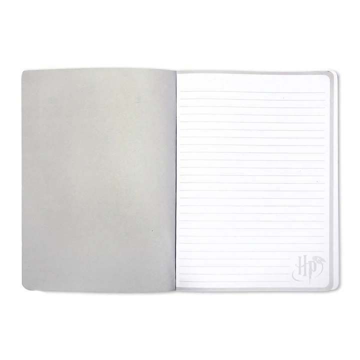 Cuaderno de Harry Potter - Rayo y gafas