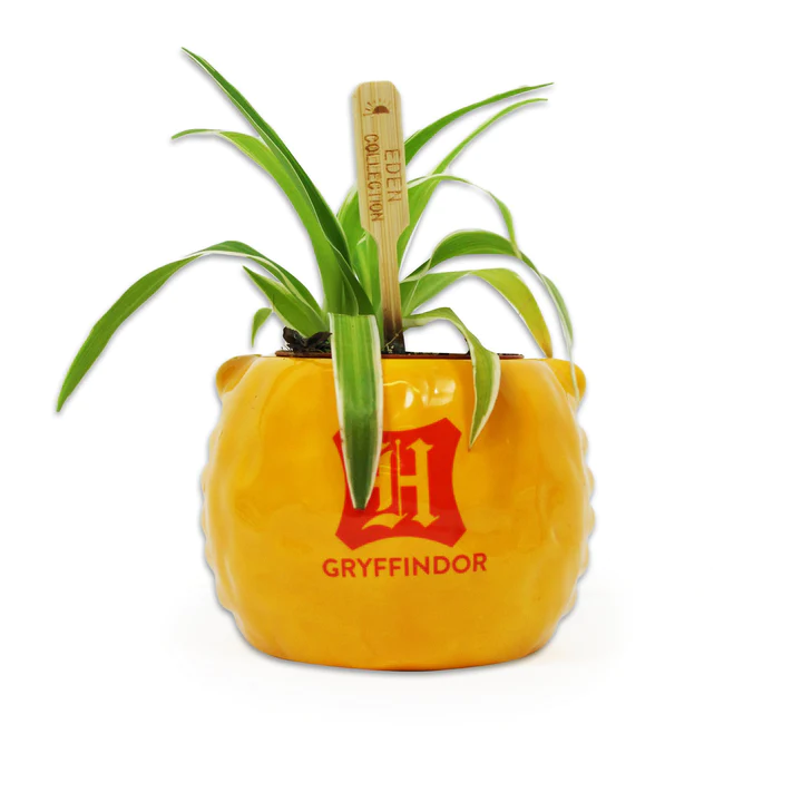 Maceta de Harry Potter - Gryffindor