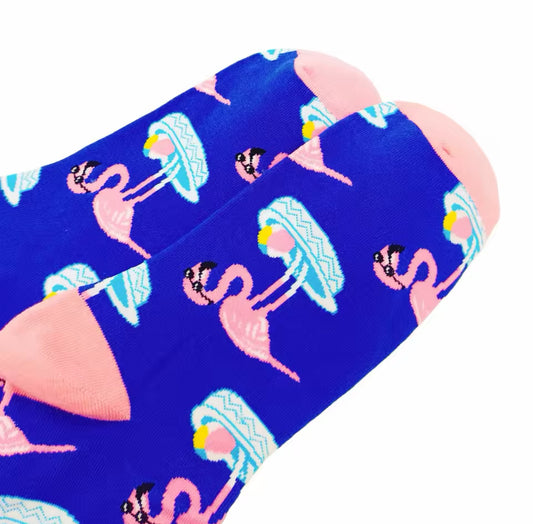 chaussettes flamant lunettes de soleil mrcol