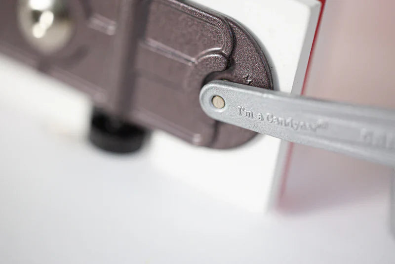 Coche de madera Candycar World - Cisne blanco