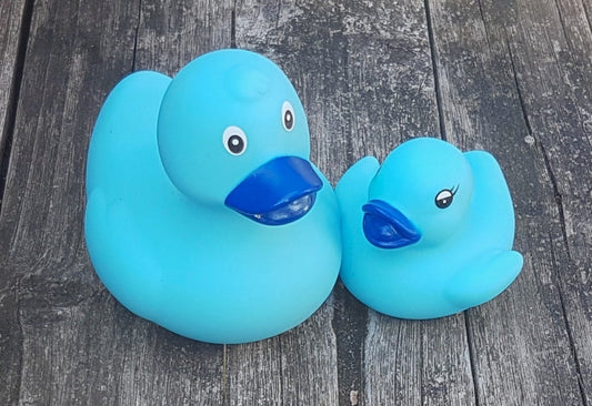 Canard Original Bleu