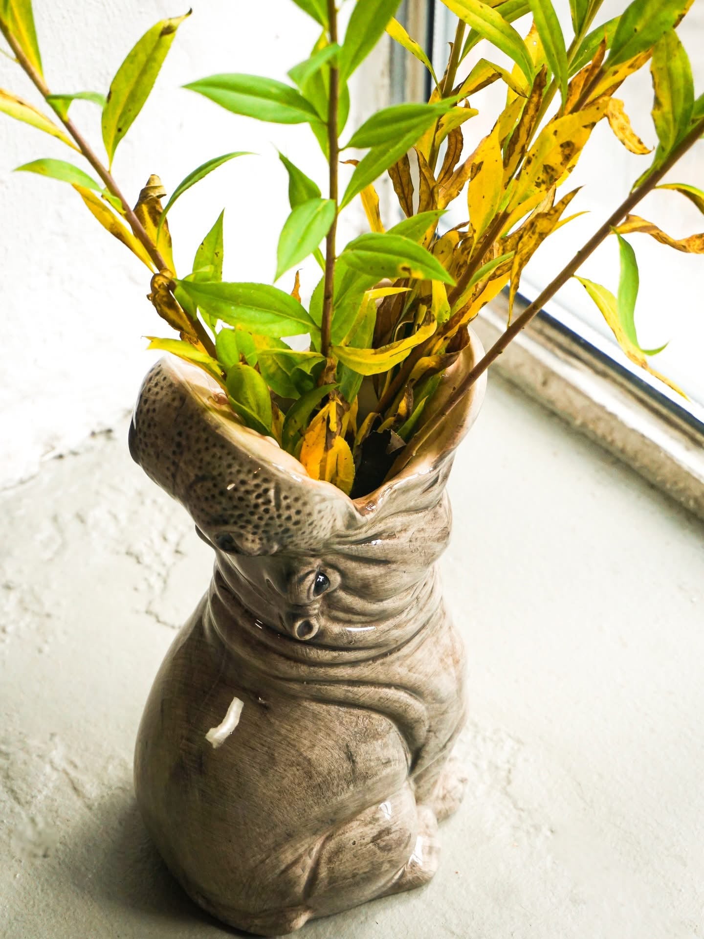 Grand Vase Hippopotame Hungry Hippos