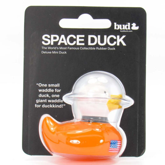 Mini Space Duck