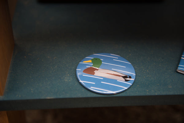 Miroir de poche Canard Colvert