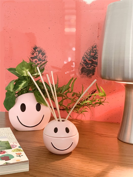 Flower Pot de ánimo rosa