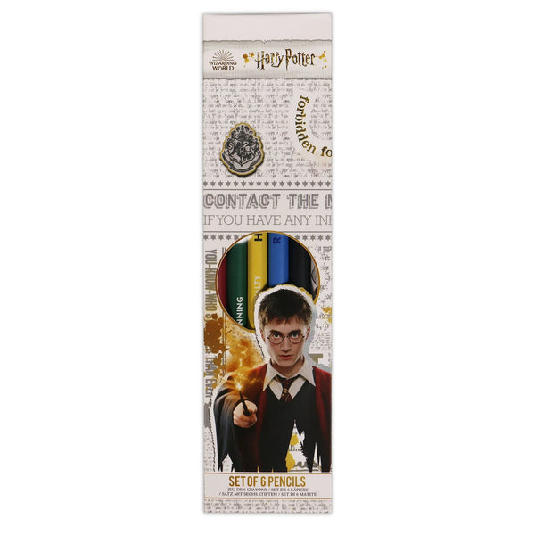 Set van 6 grijze Harry Potter-potloden - Huizen