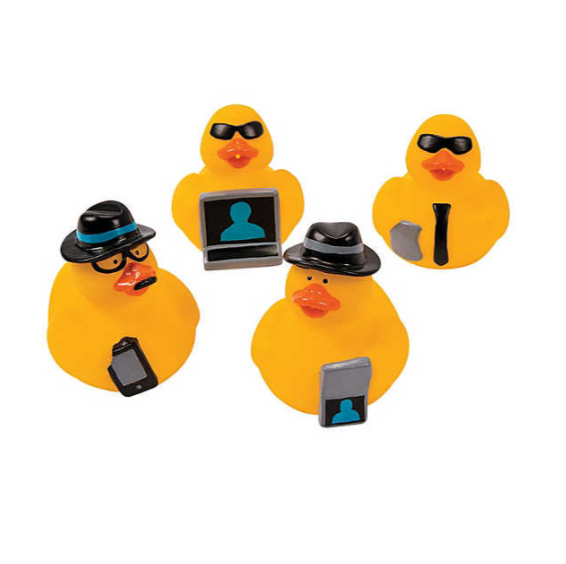 Mini Canards Espions