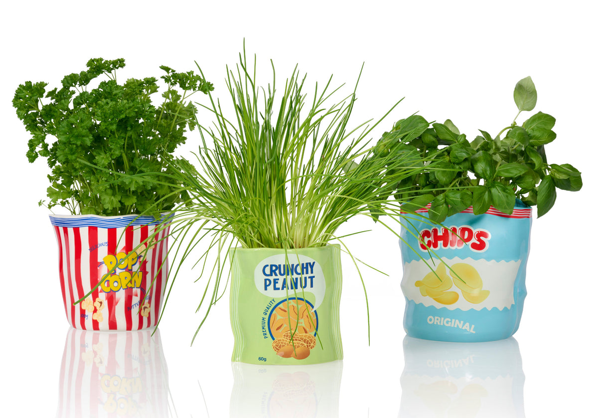Pot de Fleur Pop-Corn en Céramique
