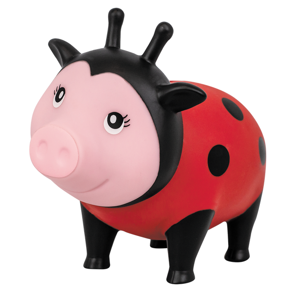 Cochon Coccinelle