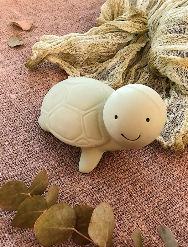Mon Premier Animal Marin Tortue