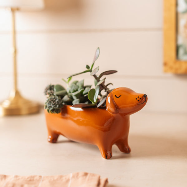Dachshund Trinket Dish