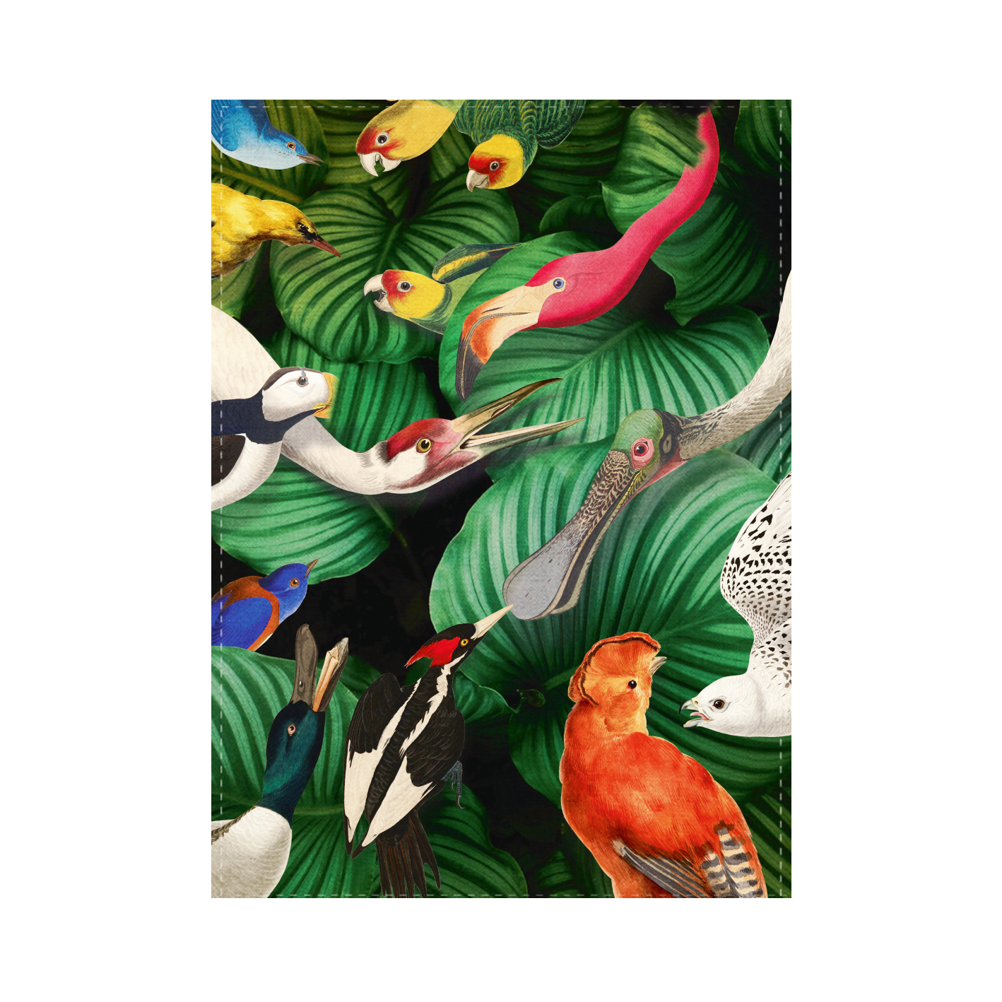 Teyler Tea Towels - Birds