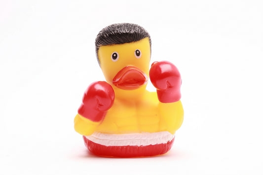 Canard Boxeur