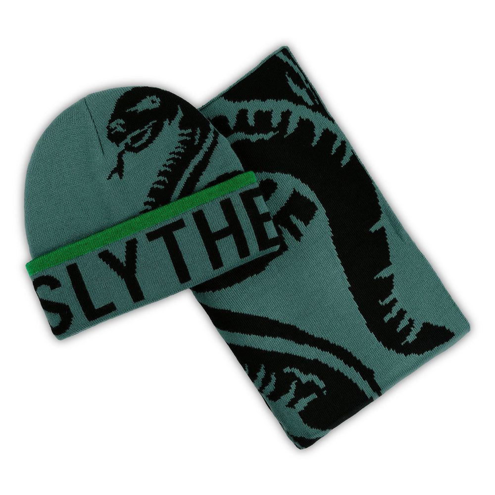 Set bonnet et écharpe adulte Harry Potter Serpentard