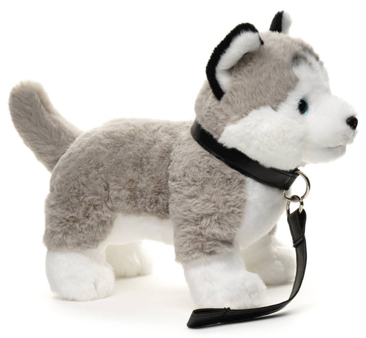 Peluche de husky gris, de pie (con correa)