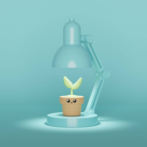 Mini lampe avec plante décorative
