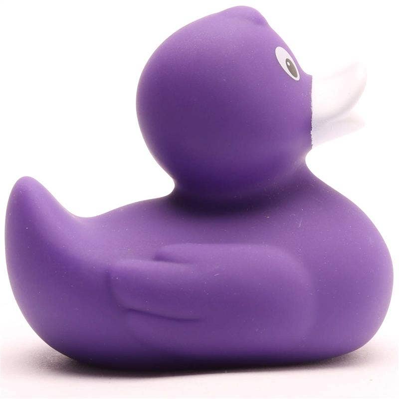 canard classique violet