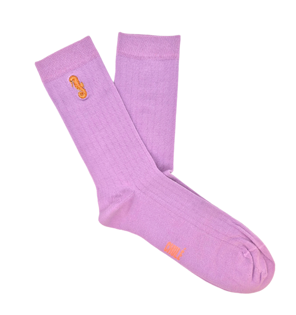 Chaussettes « Hippocampe » - Chulé