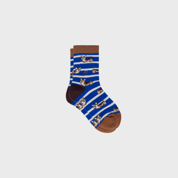 Calcetines de animales para niños - Corgi