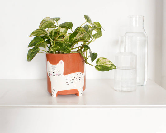植木鉢 猫