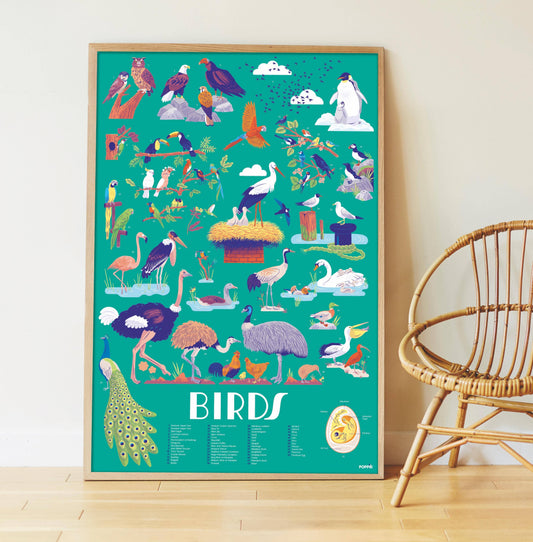 Oiseaux - Poster en stickers - Discovery 7+