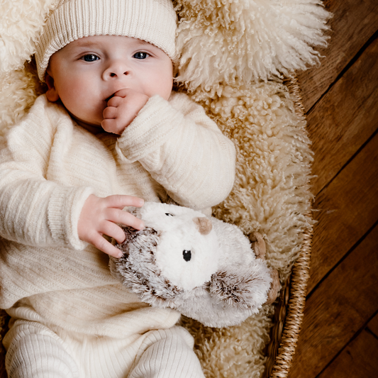 Warmies フクロウのぬいぐるみ湯たんぽ