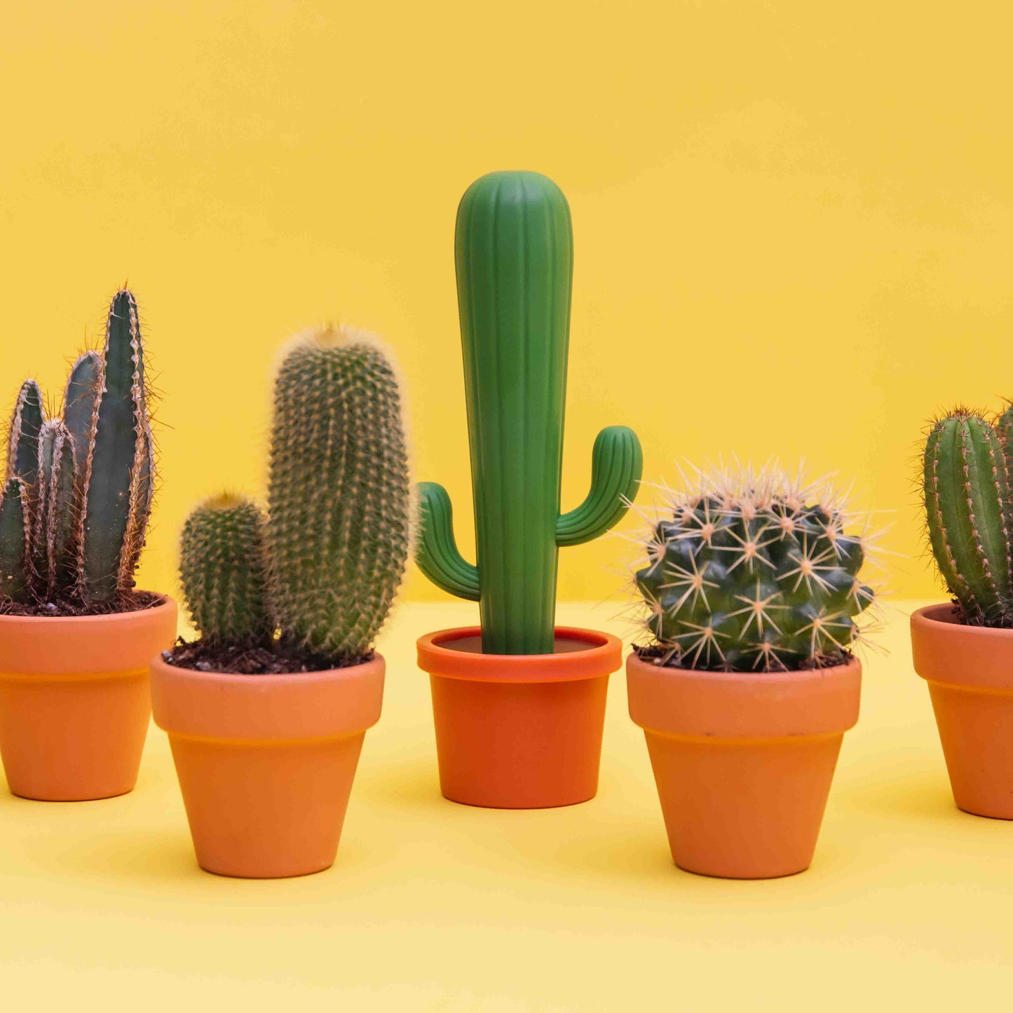 Cepillo para platos de cactus