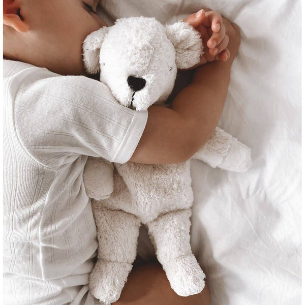 Small teddy polar bear