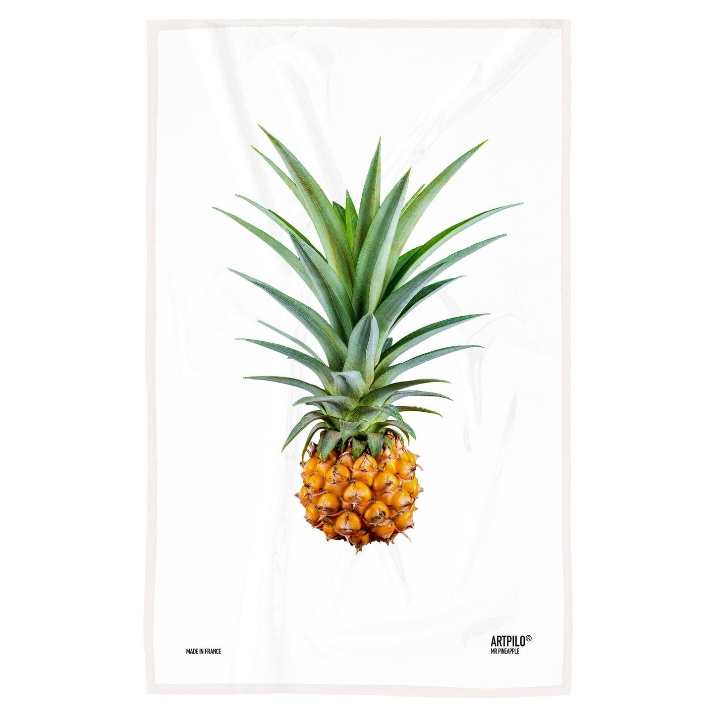 Mr. Pineapple Dishcloth