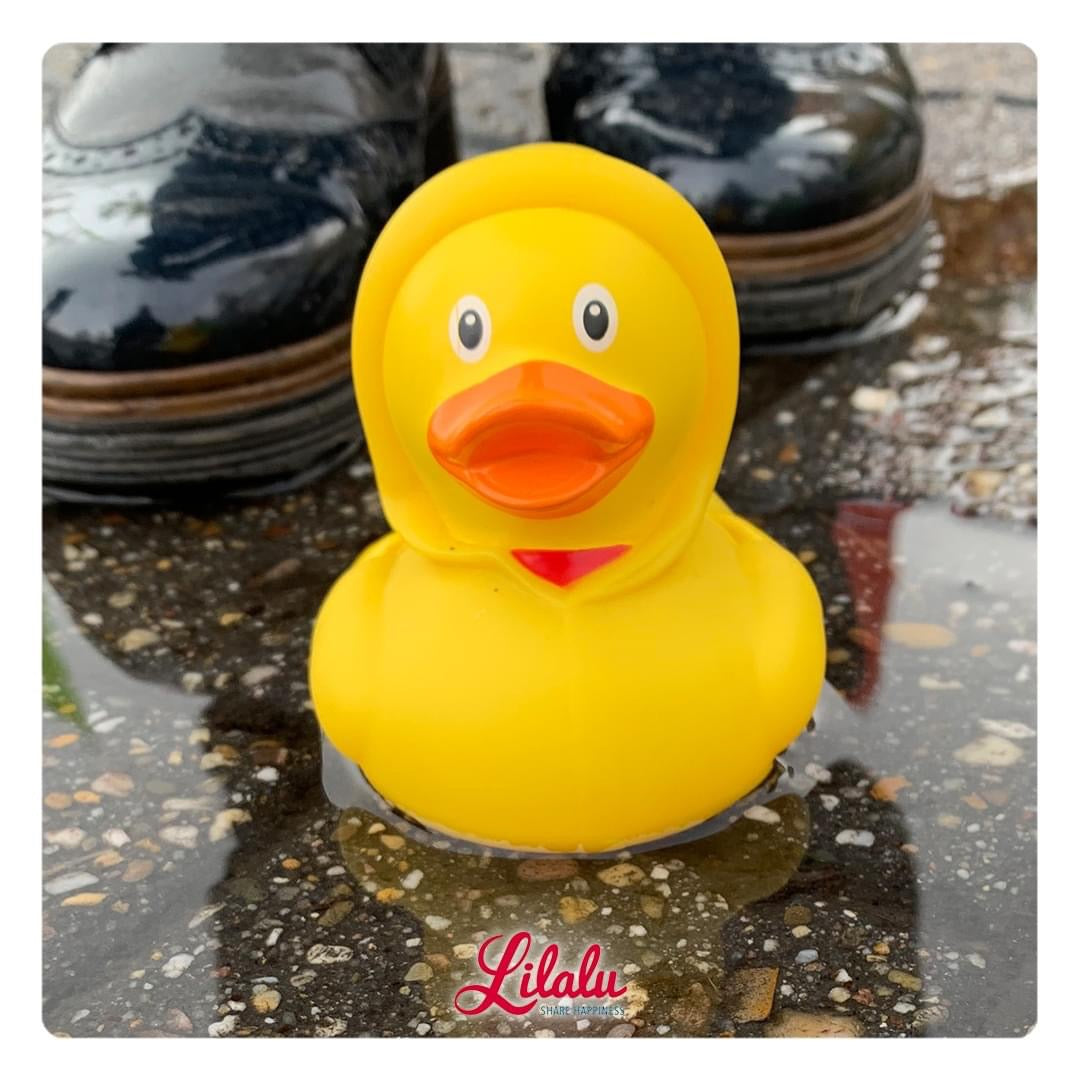 Pato encerado amarillo