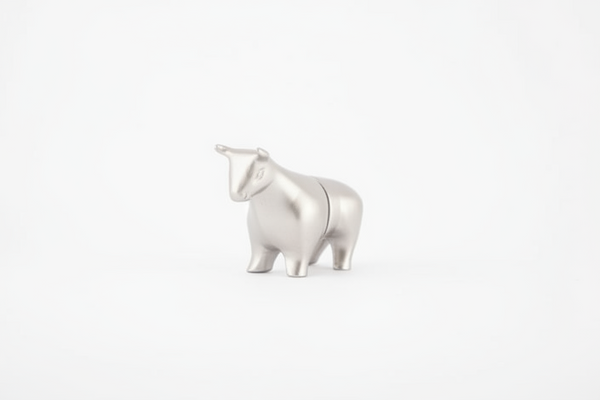 Magnetische fotohouder Bull