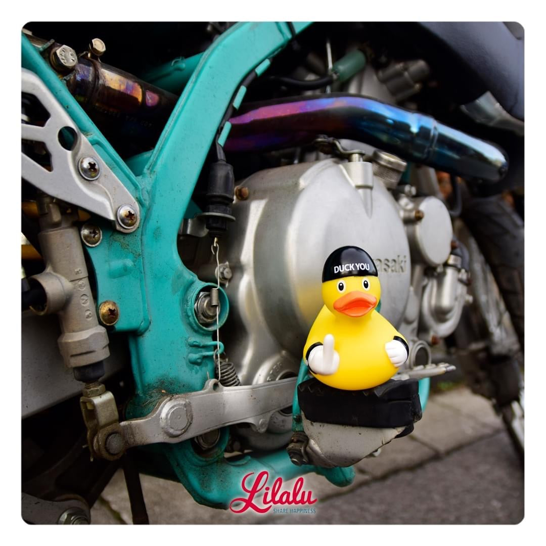 Duck You