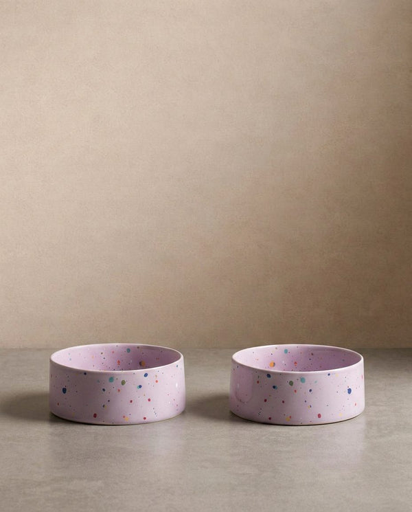 Lot de 2 gamelles New Party – 16,5 cm – Lilas