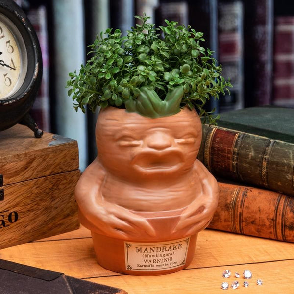 Vaso de Mandrágora