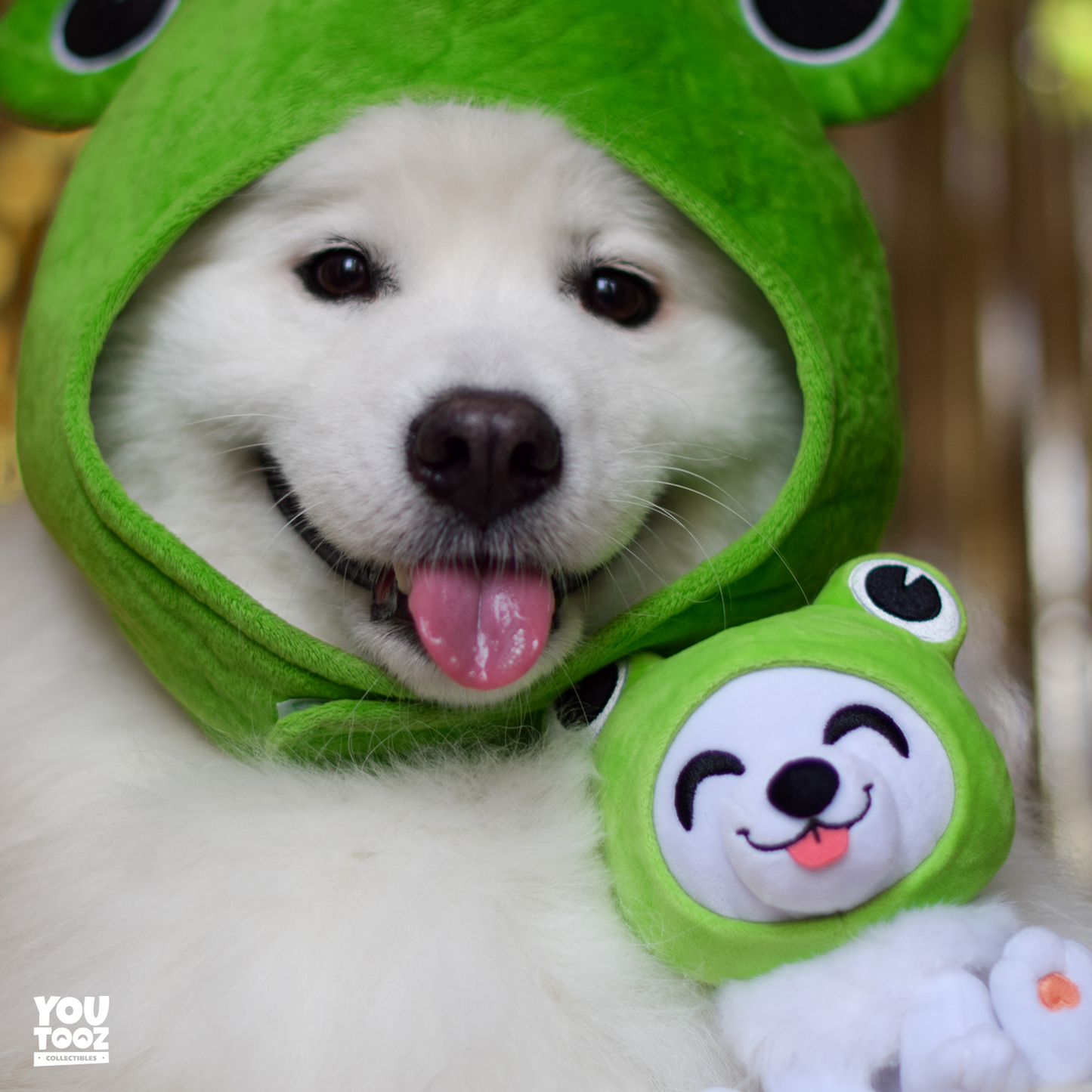 Shiro Froggy Plush (6in)