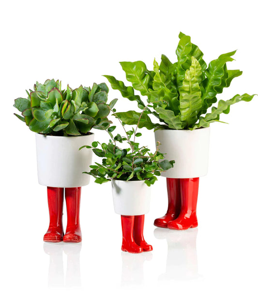 Bloempot, rode Wellington laarzen