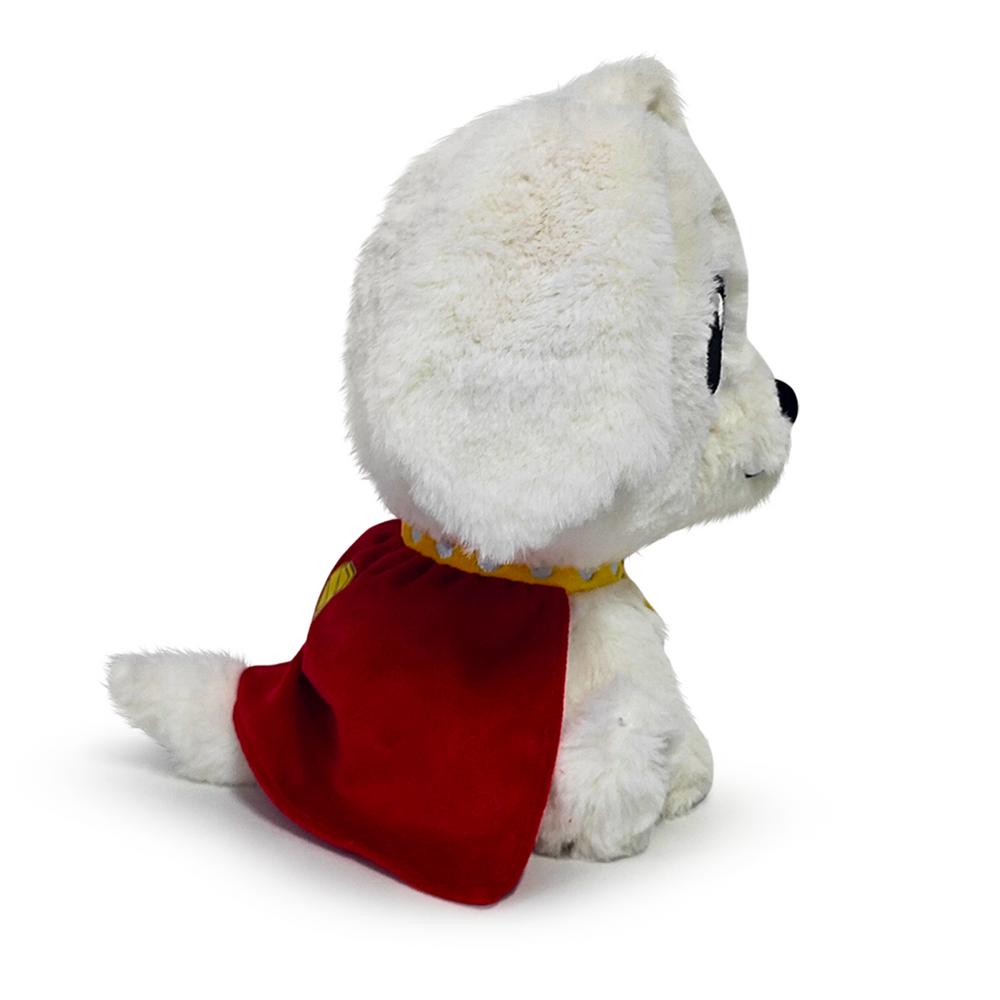 Peluche Krypto