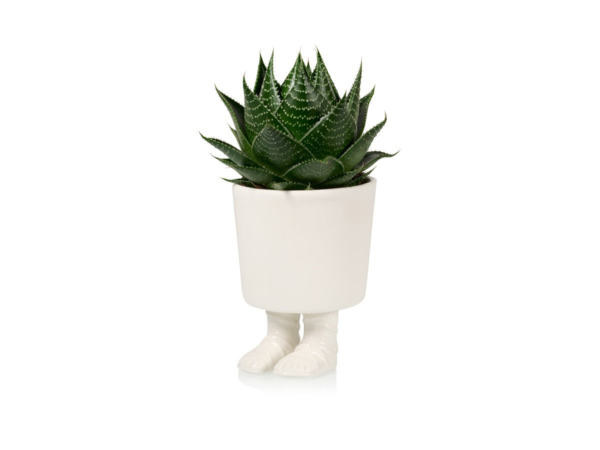 Sandali gladiatore con vaso di fiori