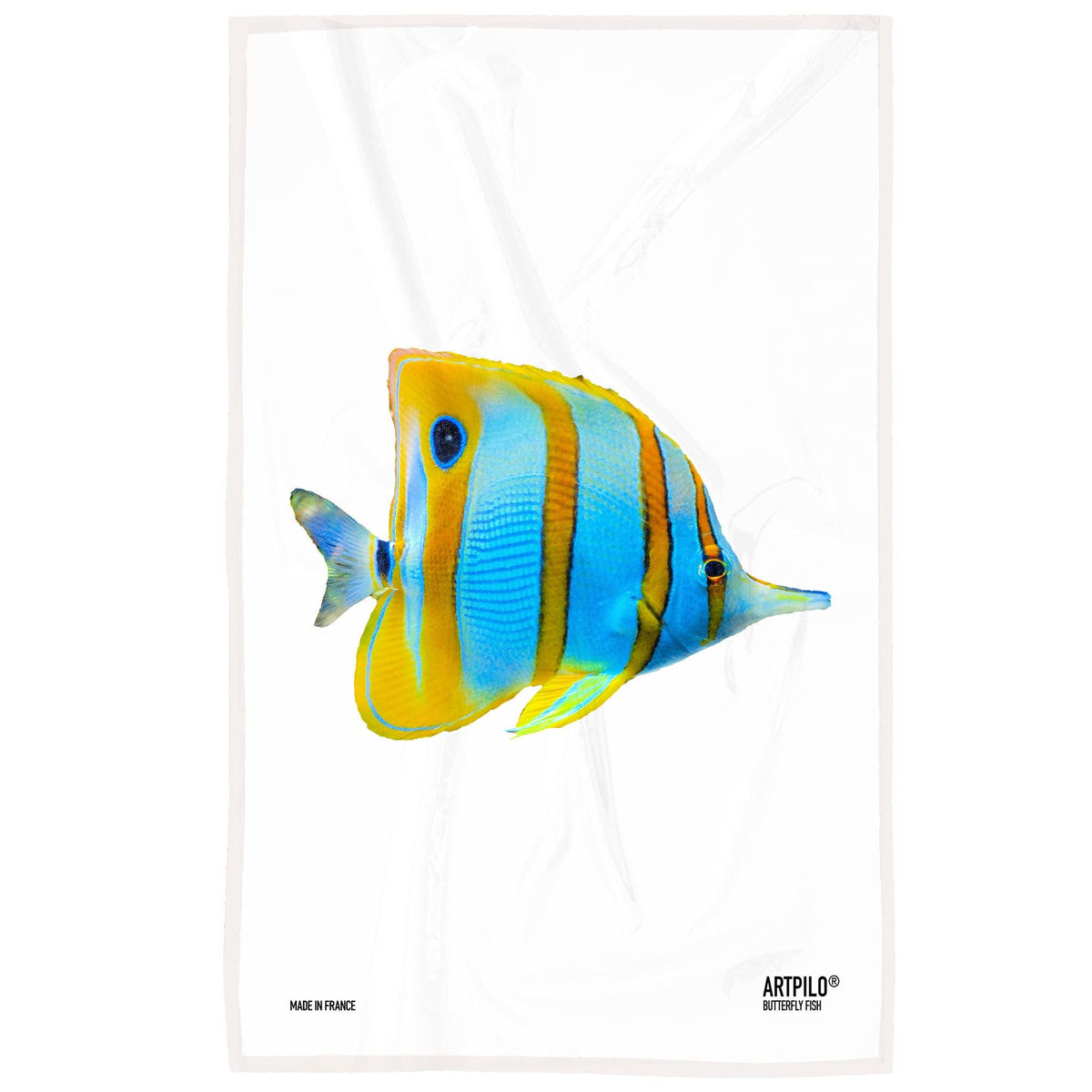 Falterfisch