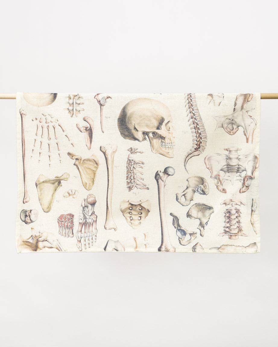 Torchon Squelette – produit scientifique Cognitive Surplus EU, vue 2