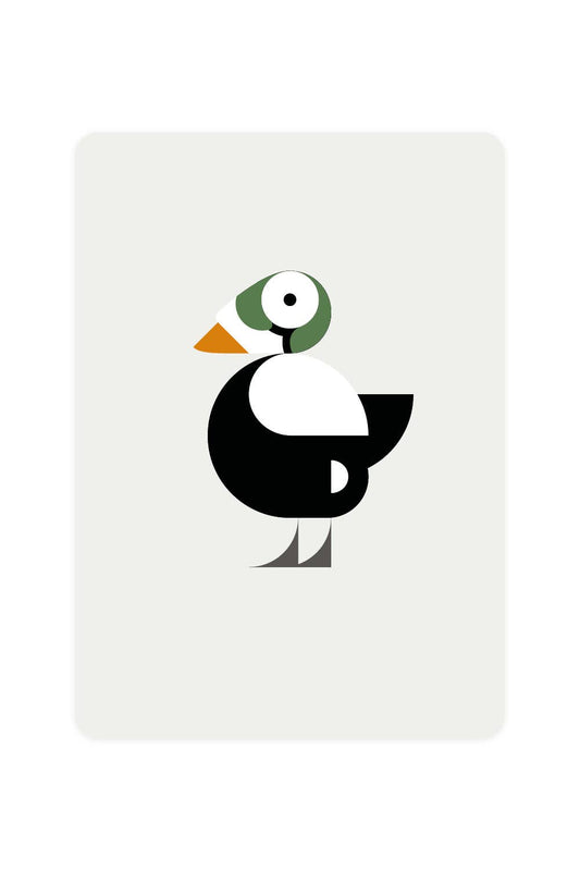 Carte postale avec Eider à lunettes