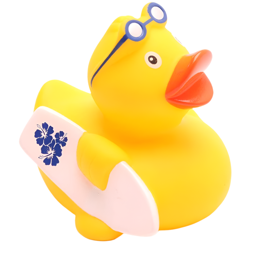 Canard Surfeur