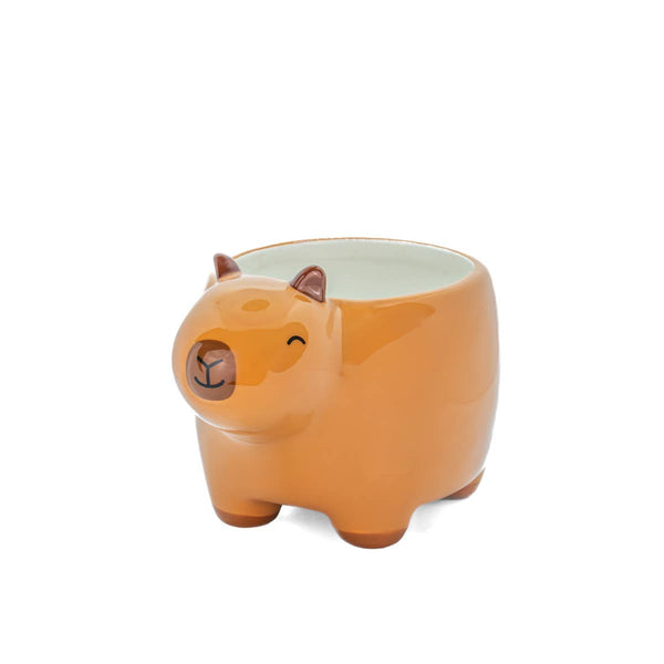 Jardinière Capybara