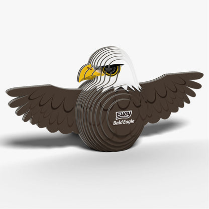 022 Bald Eagle