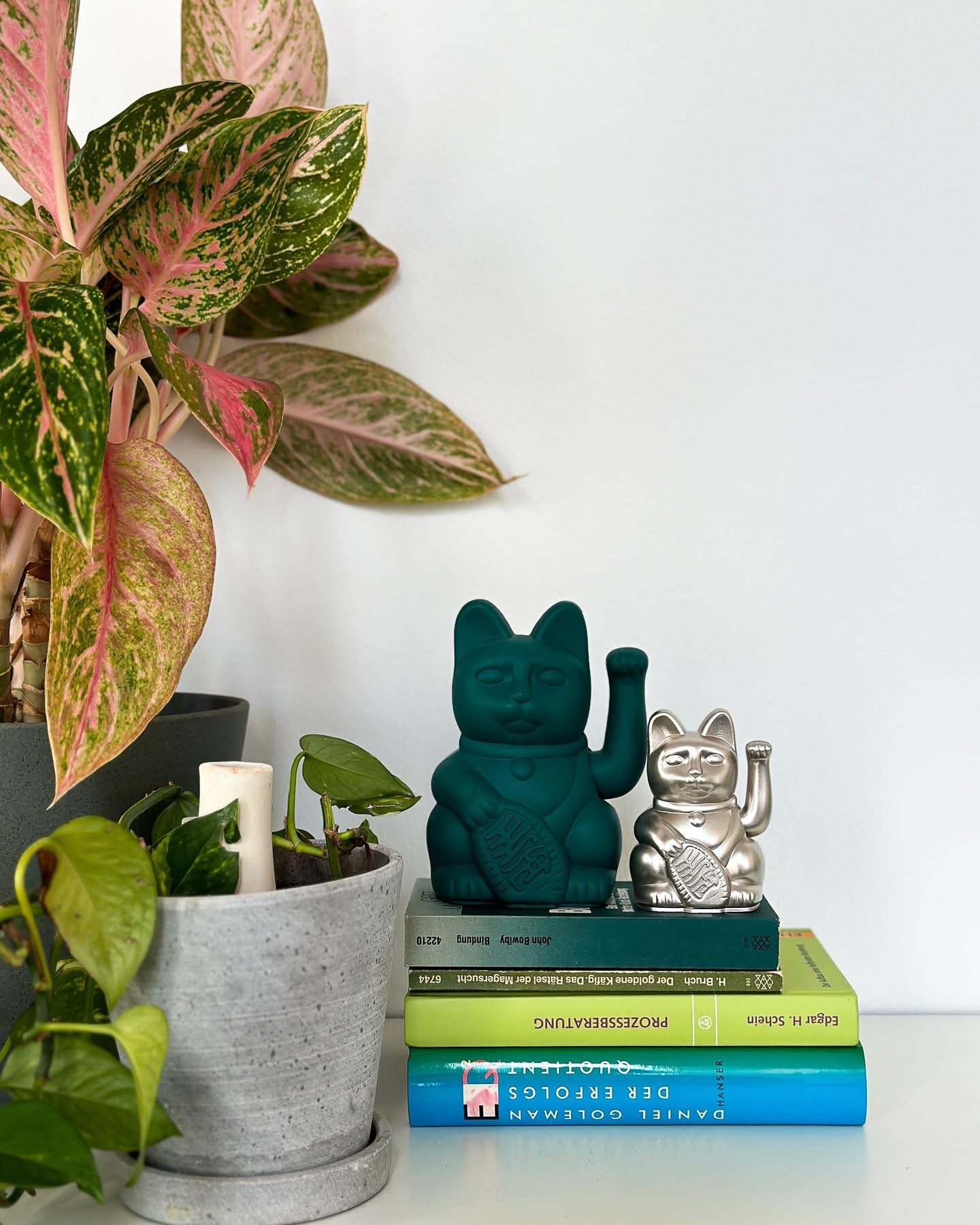 Gato verde afortunado