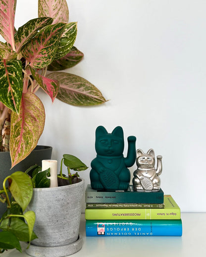 Gato verde afortunado