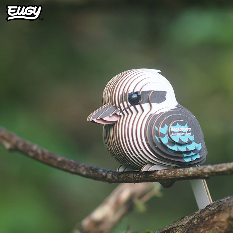027 Kookaburra