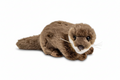 Peluche Bébé Loutre