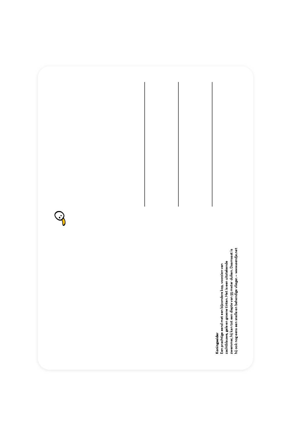 Postcard with King Eider